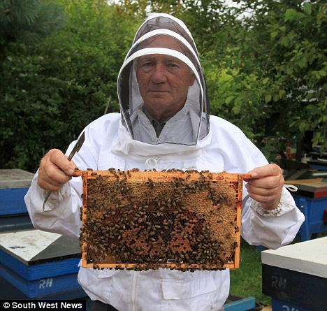 Will The 'Swindon Super Bee' Save Our Honeybees?