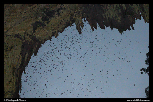 Exploring The World's Largest Network Of Caves