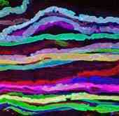 Brainbows - See What Your Brain Looks Like