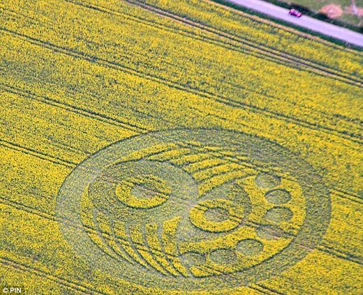 'Alien' Crop Circles Are Back!