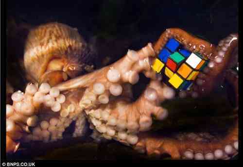 Hmm - Which Hand should I Use?