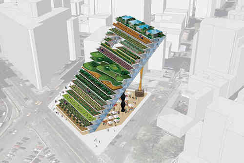 Organic Farming In Downtown Manhattan?