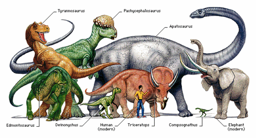 How Did Dinosaurs Grow So Big?