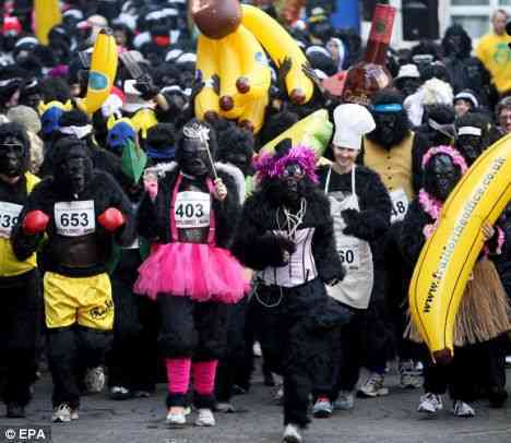 The Great Gorilla Run