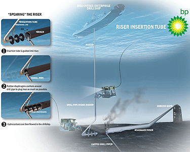 Finally, Some Good News About The Gulf Oil Spill