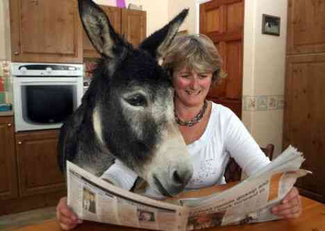 One Big Happy Family