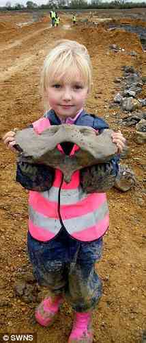 Budding Paleontologist Discovers Ice-Age Fossil