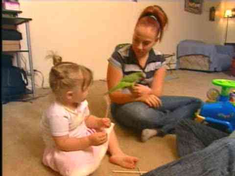 This Parrot Is No Bird Brain