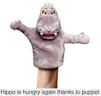 Madagascar's Gloria To The Rescue