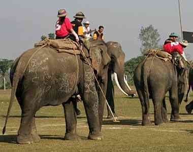 International Elephant Polo Championship