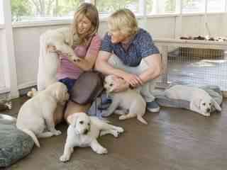 The 22 Stars Of Marley And Me!