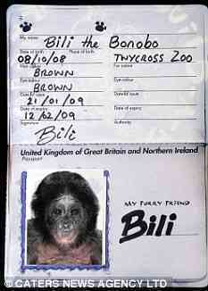 A Window Seat Please!