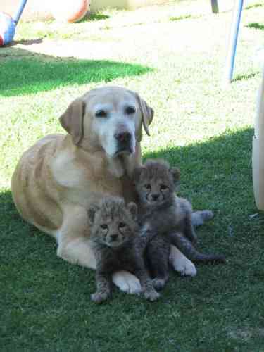 Happy Valentine's Day