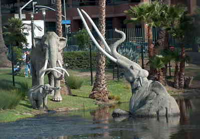 Ice-Age Mammoth Fossil Discovered In Los Angeles