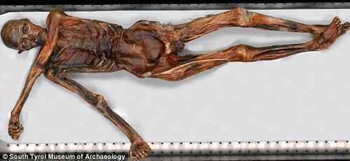 'Otzi' - The Iceman, Now Online!