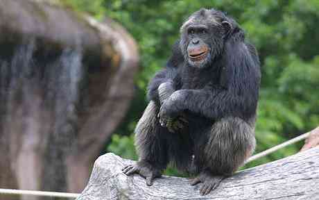 Will You Please Stop Staring At Me!