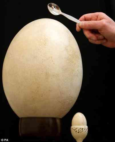 Would You Pay $7,000 USD For This Egg?