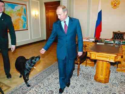 Sorry Folks, The Dog Ate It All