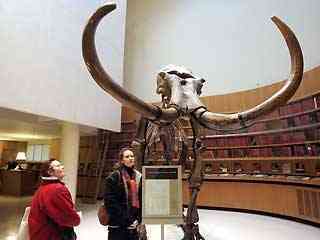 Jurassic Era Skeletons Shine At Paris Auction