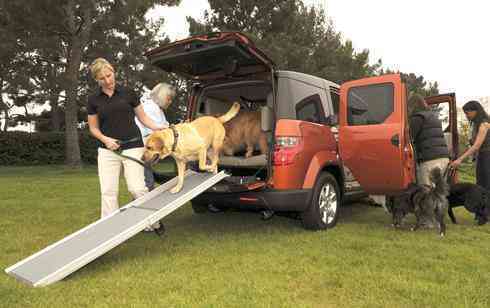 Coming Soon - A Special Car For Your Pooch