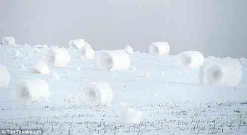 Snow Rollers - Nature's Amazing Phenomenon
