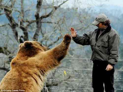 And The Best Man Is . . . Brutus, The 800Lbs Grizzly
