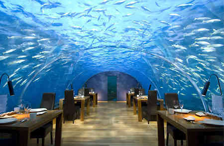 Fine Dining - 17 Feet Below the Indian Ocean