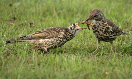 All Parents Are The Same . . . . . . . Simply Amazing!