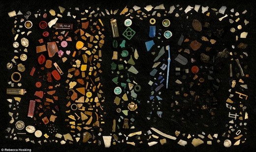 A Beautiful Kaleidoscope Of Plastic - Found Inside An Albatross!