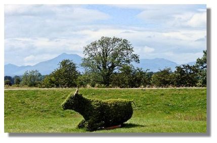 Save The Planet - Breed A 'Green' Cow