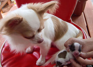 Video Of The Week - The Perfect Valentine Gift!