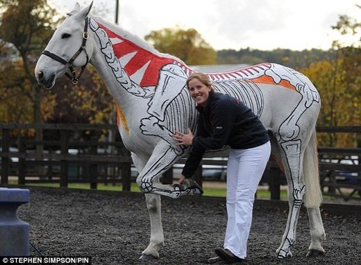 Turning A Horse Inside Out