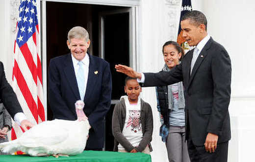Pardoned Turkeys Head To Disneyland For Thanksgiving