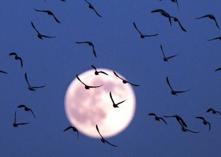 An Extra Special New Year's Eve