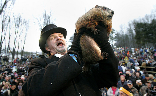 Legendary Groundhog Declares 'Six More Weeks Of Winter'