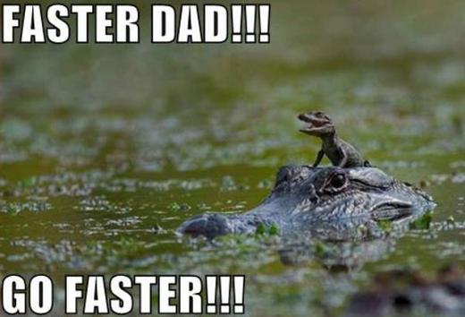 Lazy Crocodiles 'Surf' To Get Across The Seas