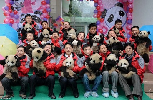 Panda Cubs Head To 'Kindergarten'