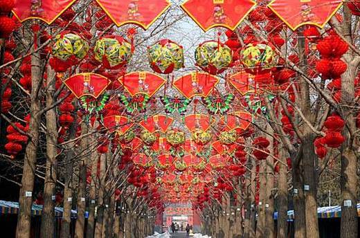 Gung Hei Fat Choy! Happy Year of the Tiger!
