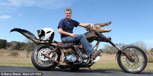 GatorBike Anyone?