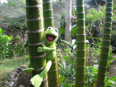 Kermit The Frog, Travels The Globe