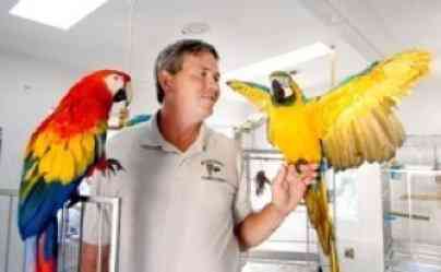 Man's New Best Friend - Pet Parrots