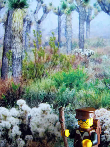 A Lego A Day. . . . .