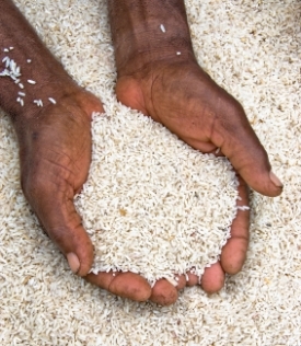 'Hunger Banquet' - Food For Thought!