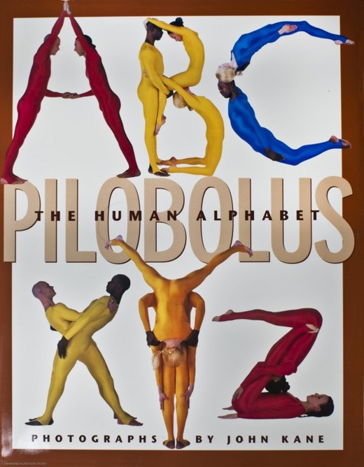 Now Available - A Human Body Alphabet Book!