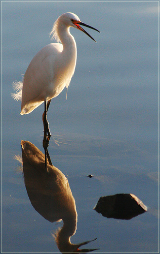 Update on Bay Area Oil Spill