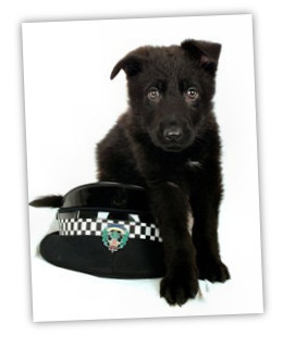 Meet the newest (and cutest) member of Scotland's Police Force