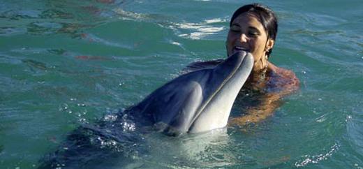 Moko - the amazing Dolphin!