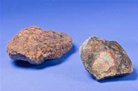 How much for that Poop?