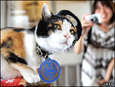 Tama The Cat Promoted to 'Super' Stationmaster