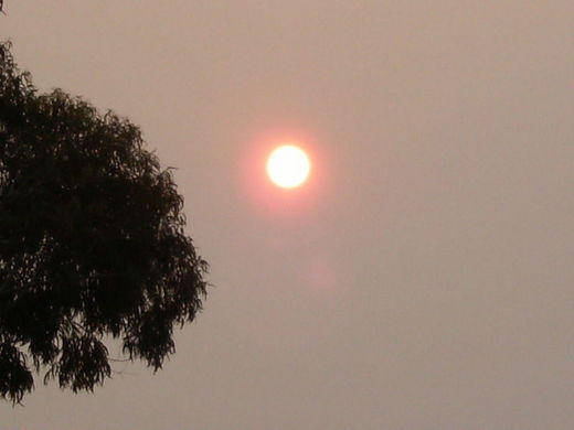 The Hazy Skies Of Northern California